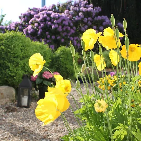 Bed & Breakfast Skovlyst Jelling