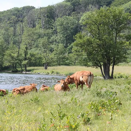 Skovlyst Jelling